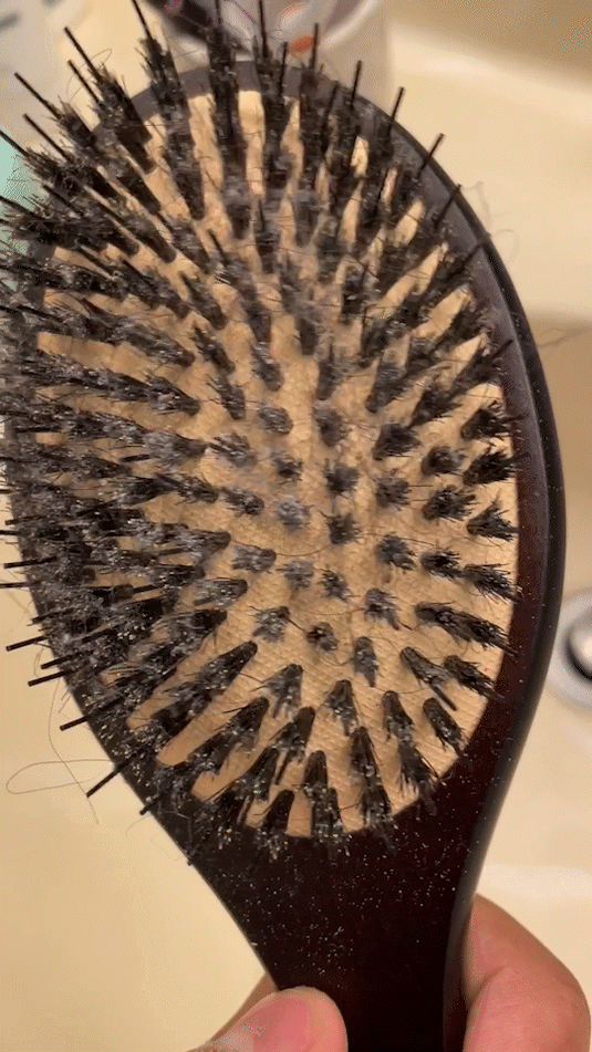 Scalp Massage and Cleansing Brush | Temsk