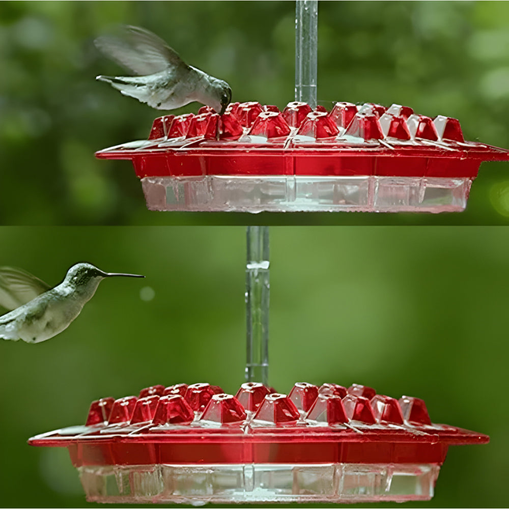Hummingbird Nectar Feeder For Hanging Garden Spaces | Temsk