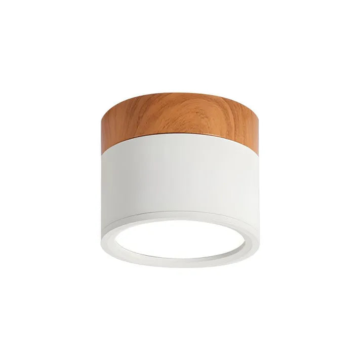 Virel Nordic LED Ceiling Light Minimalist Cylindrical Fixture | Snurv | Temsk