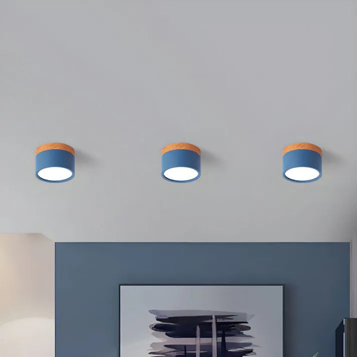 Virel Nordic LED Ceiling Light Minimalist Cylindrical Fixture | Snurv | Temsk