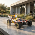 Brushless RC Racing Car 1:14 Scale 4WD High-Speed 75km/h Off-Road | Temsk