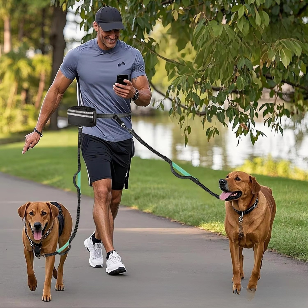 Hands-Free Dog Leash With Pouch For Everyday Walks | Temsk