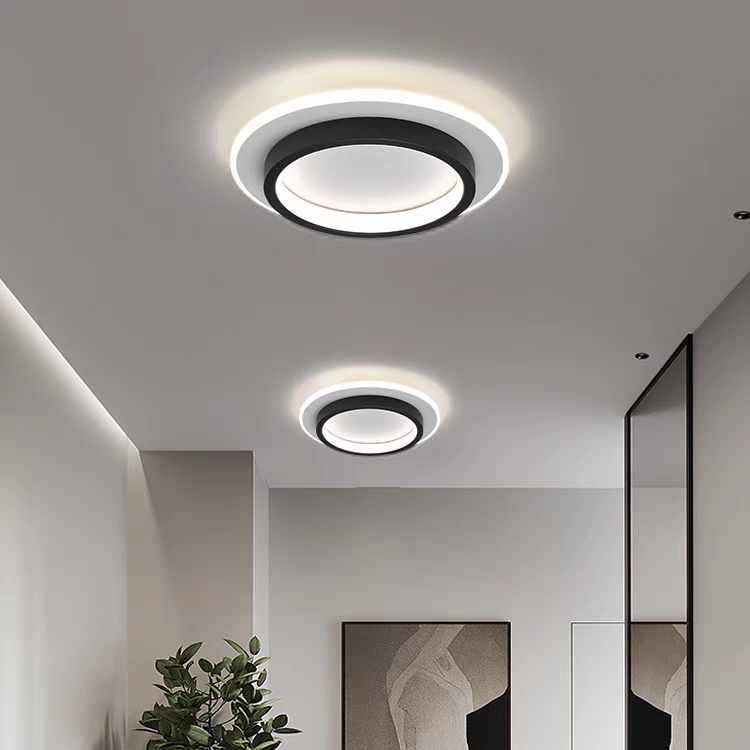 Round LED Ceiling Light With Halo Ring, Metal And Acrylic Flush Mount | Temsk