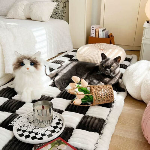 CozyPaw Pet Blanket With Furniture Protection And Anti Slip For Home Use By Temsk