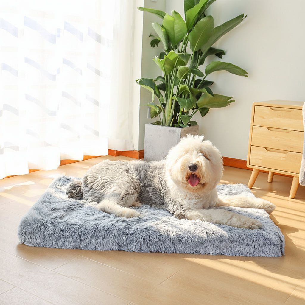 Waschbares Hundebett mit erhöhtem Rand, Schlafkissen für den Innenbereich | Temsk