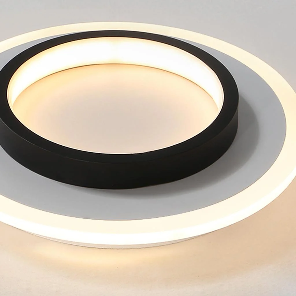 Round LED Ceiling Light With Halo Ring, Metal And Acrylic Flush Mount | Temsk