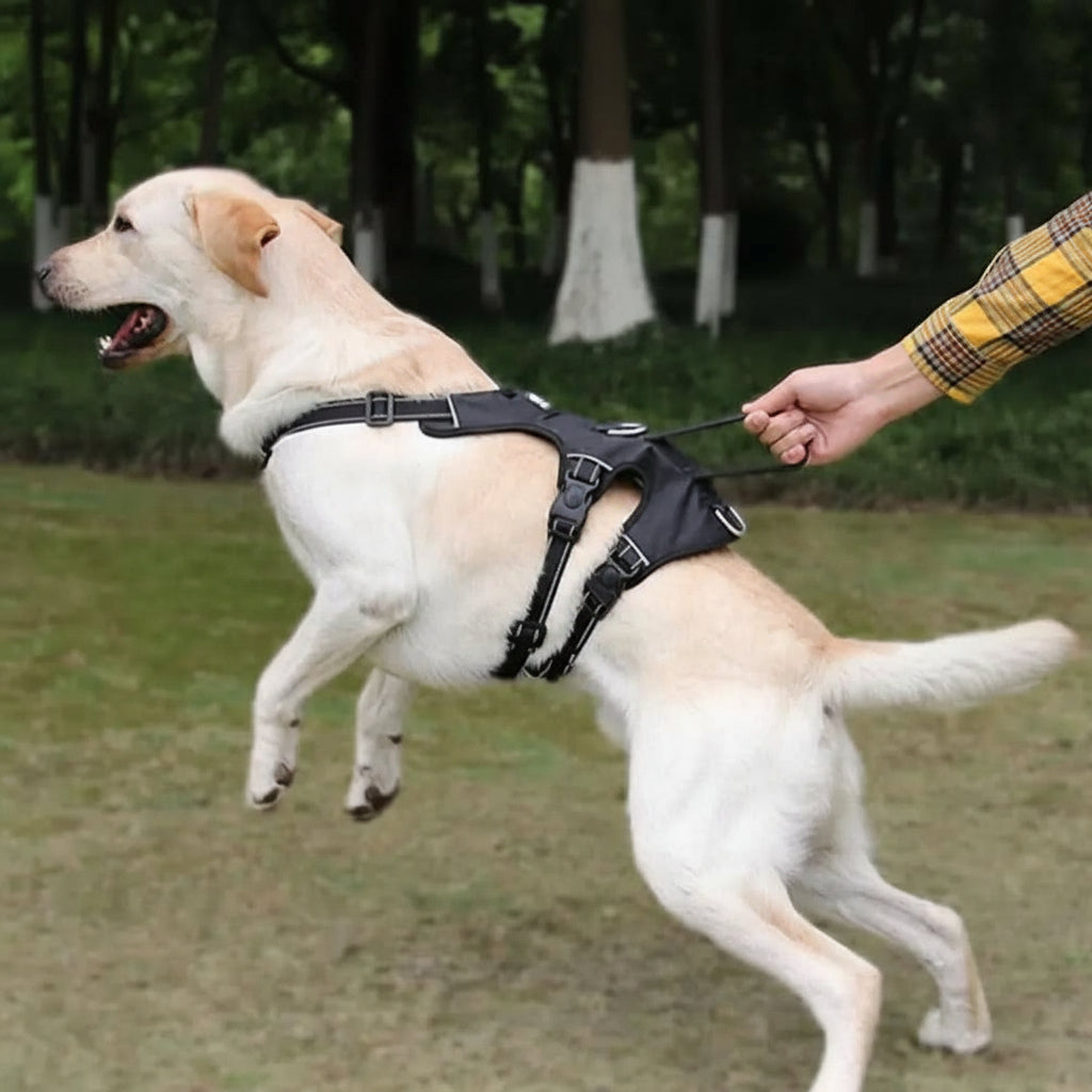 SwiftGuard Nylon Dog Harness With Reflective And Escape-Proof For Relaxed Walks | Temsk