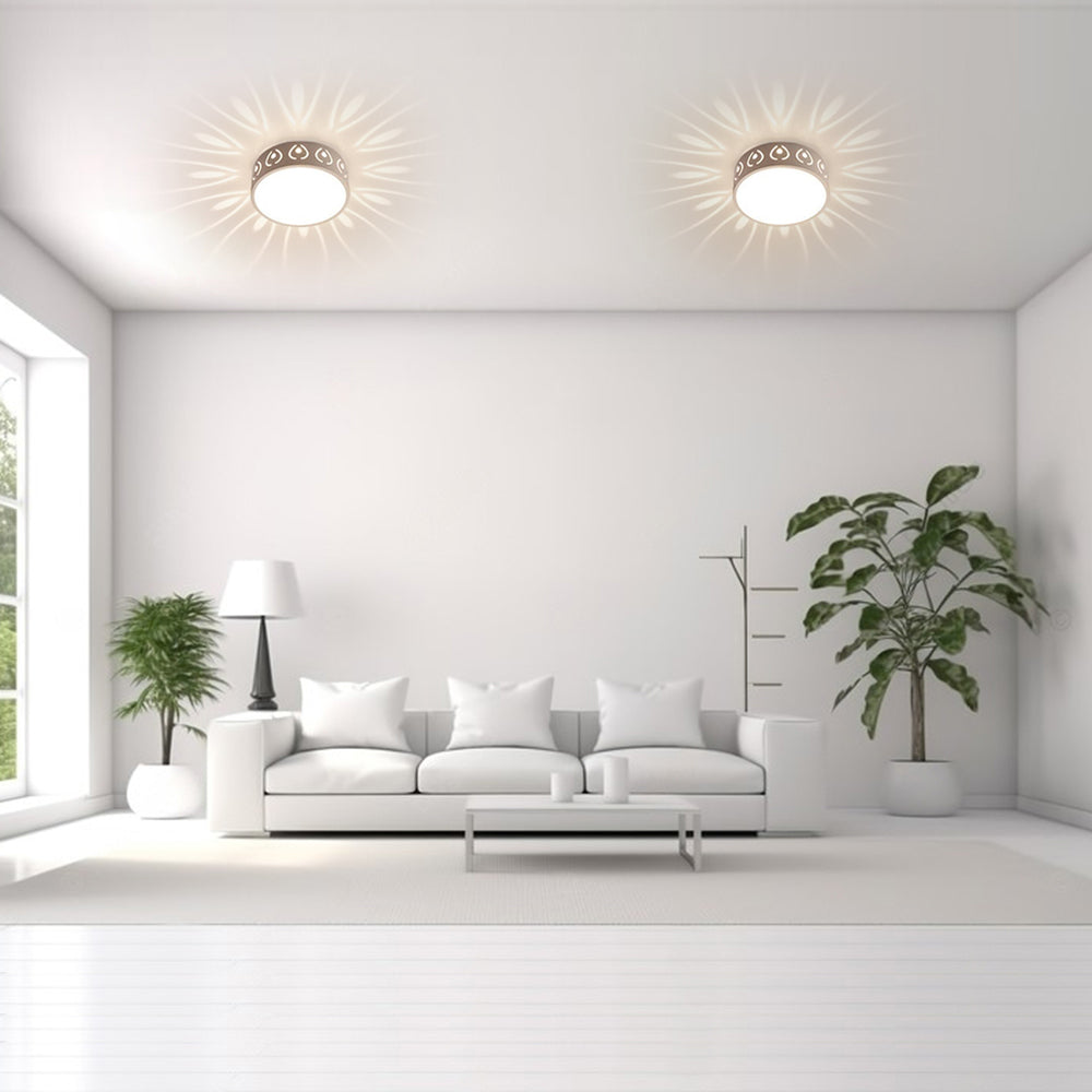 LumaNova Round LED Ceiling Light With Dimmable Ambience | Temsk