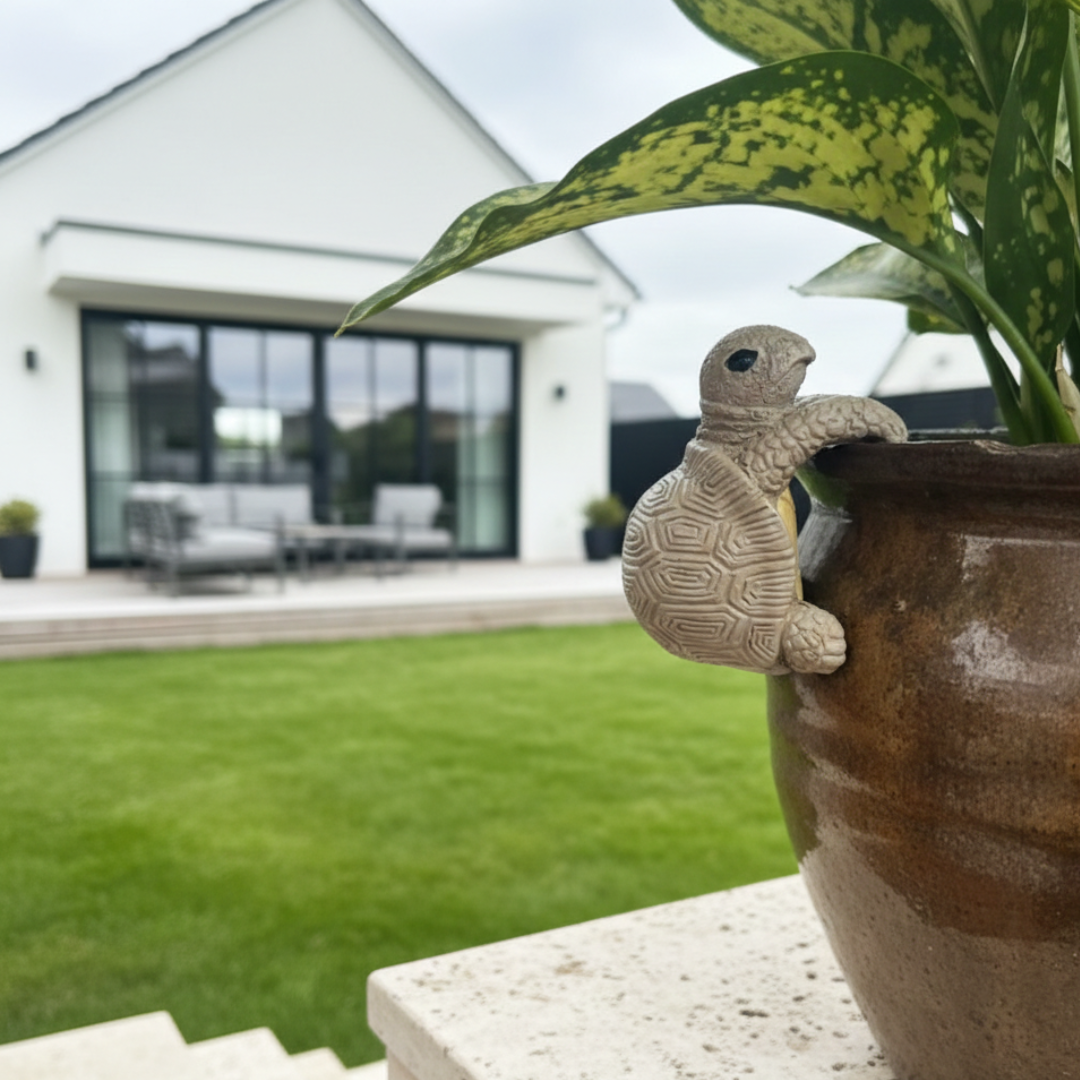 Hanging Turtle Resin Decor For Playful Plant Pots And Corners | Temsk