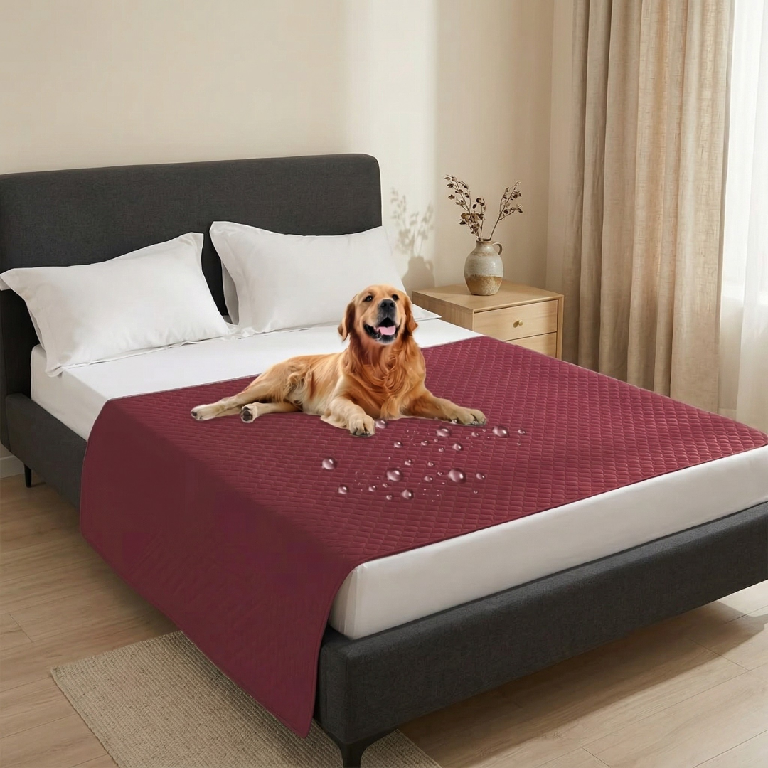 Leak-Proof Dog Seat Cover For Cars And Sofas Everyday Use | Temsk