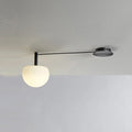 Adjustable Glass Globe Ceiling Lamp With White Metal Frame for Modern Living Room | Temsk
