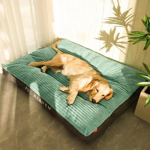 CozyPaws Orthopedic Dog Bed With Balanced Support And Comfort By Temsk Official Brand