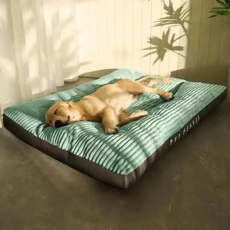 CozyPaws Orthopedic Dog Bed With Optimal Support And Comfort | Temsk