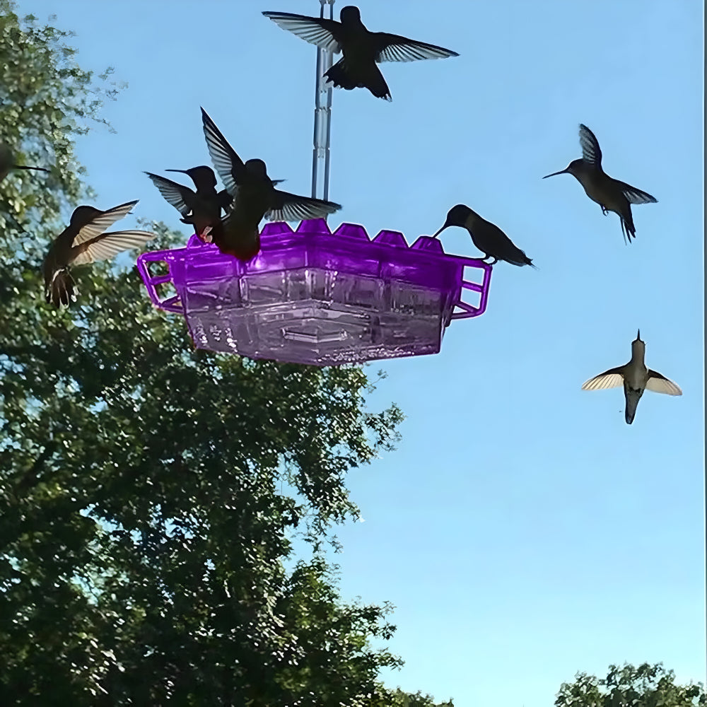 Hummingbird Nectar Feeder For Hanging Garden Spaces | Temsk