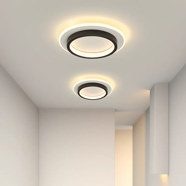 Round LED Ceiling Light With Halo Ring, Metal And Acrylic Flush Mount | Temsk