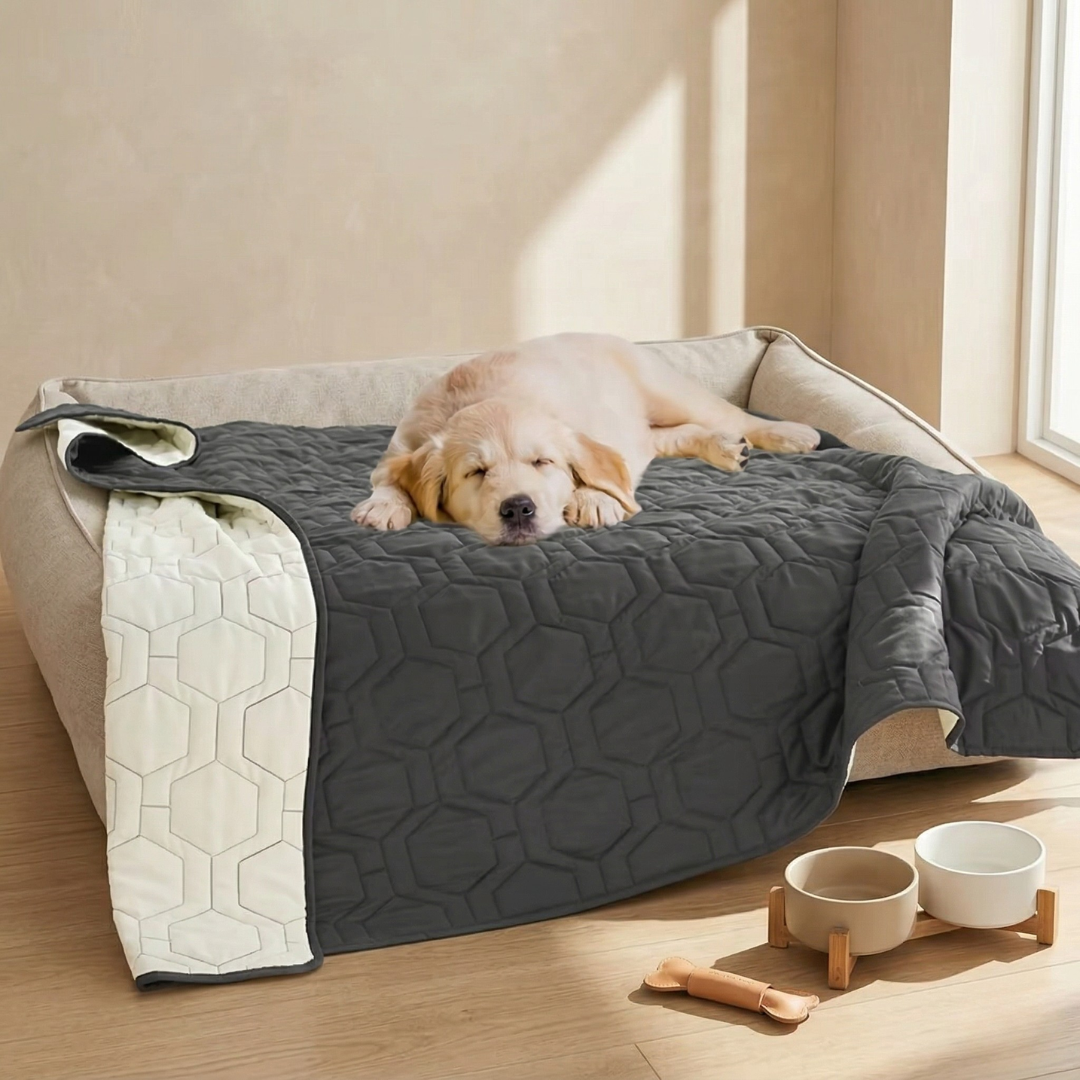 Waterproof Dog Bed Cover For Beds Sofas And Car Seats | Temsk