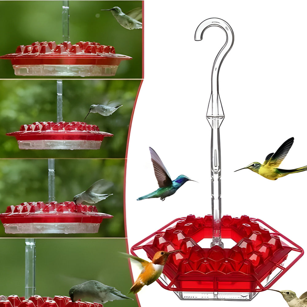 Hummingbird Nectar Feeder For Hanging Garden Spaces | Temsk