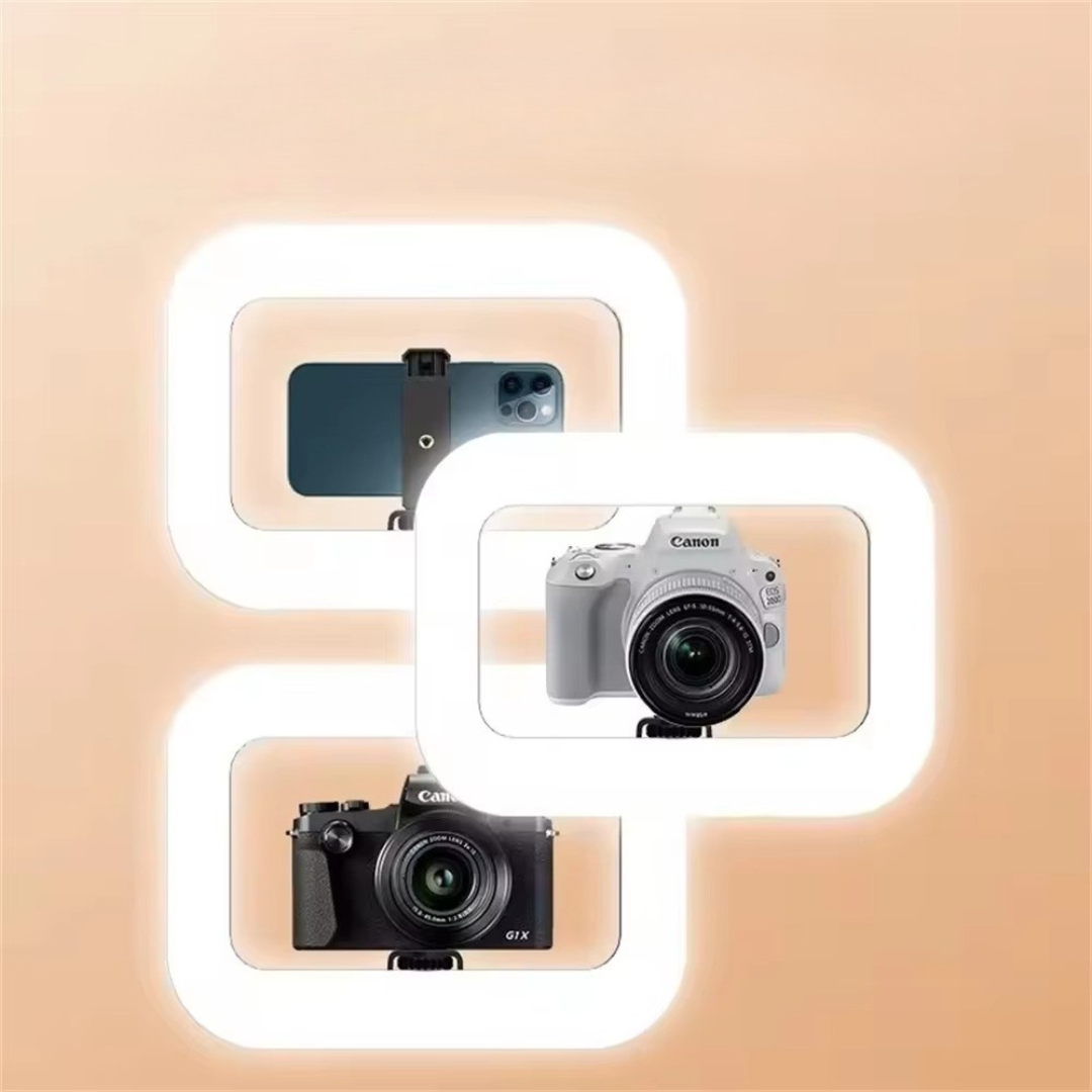 Roreta Portable Handheld Ring LED Light for Photography | Temsk