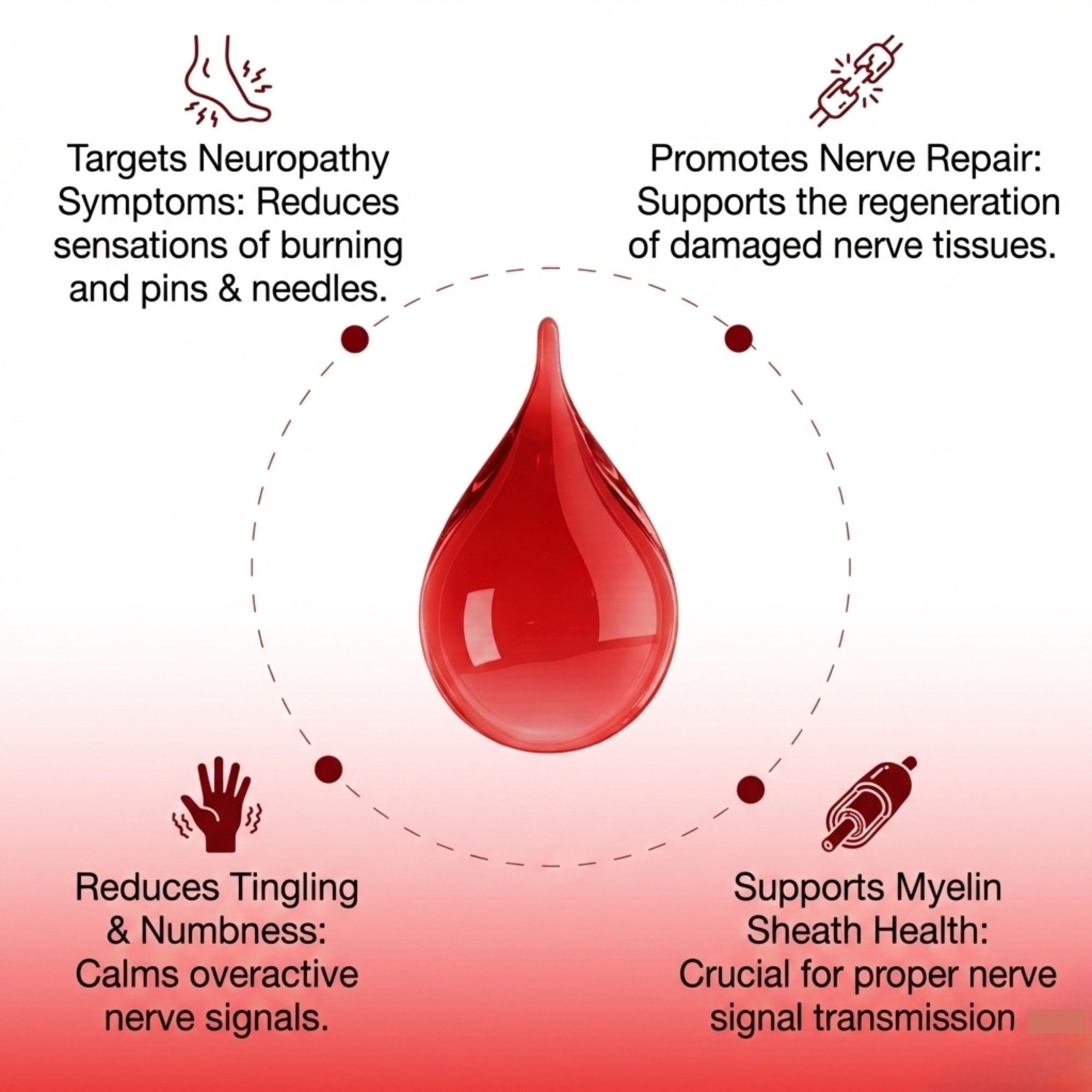 Vitamin B12 Sublingual Drops for Energy & Nerve Support | Temsk