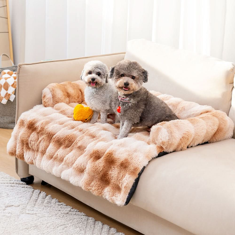 DreamNest Cozy Dog Sofa Bed With Furniture Protection | Temsk