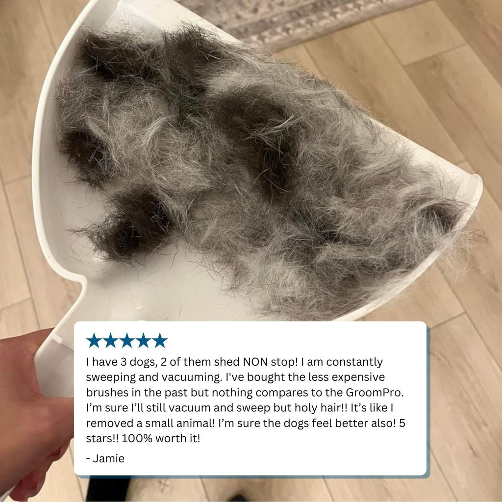 Kartáč na odstranění podsady pro kočky a psy | Temsk