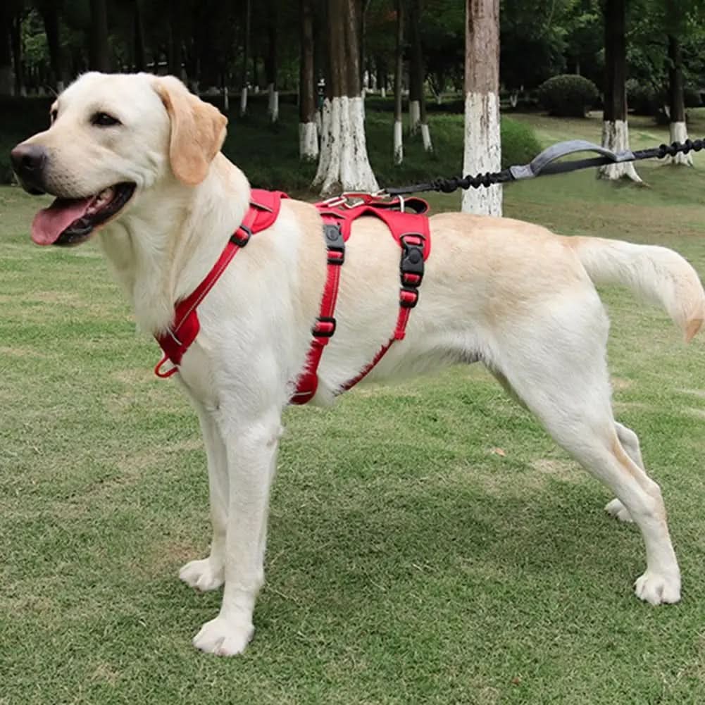 SwiftGuard Nylon Dog Harness With Reflective And Escape-Proof For Relaxed Walks | Temsk