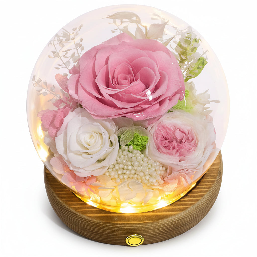 Preserved Rose Dome With LED Lights Gift For Mother's Day Decor | Temsk