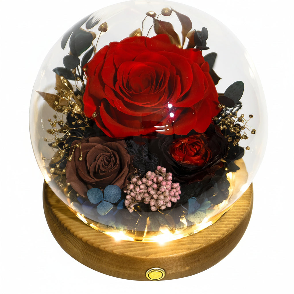 Preserved Rose Dome With LED Lights Gift For Mother's Day Decor | Temsk