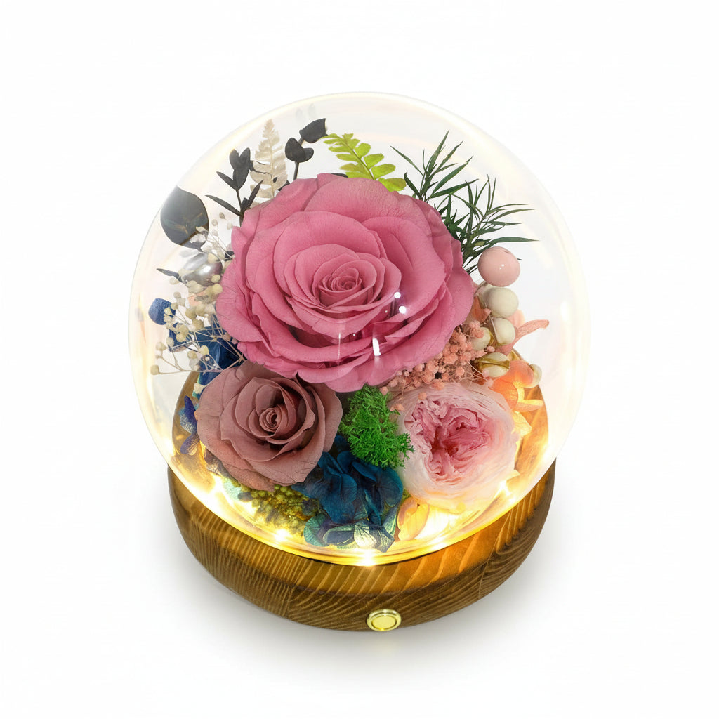 Preserved Rose Dome With LED Lights Gift For Mother's Day Decor | Temsk