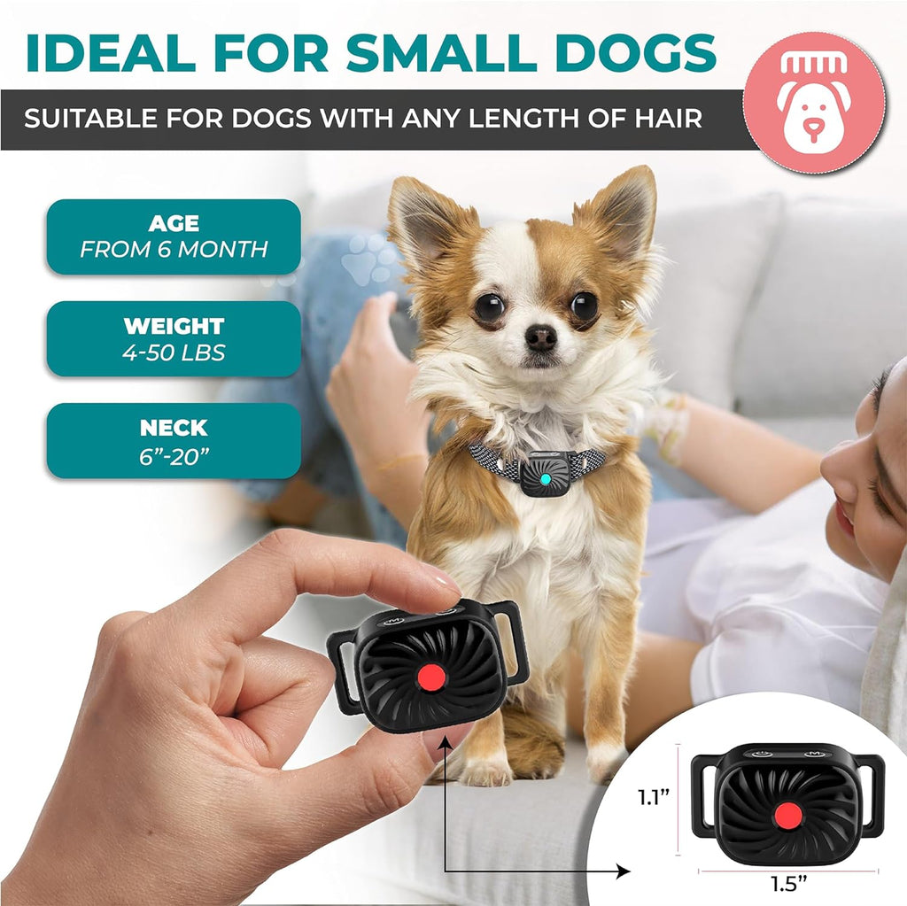 PawGuard CalmPaw Small Dog Bark Deterrent Collar Official | Temsk