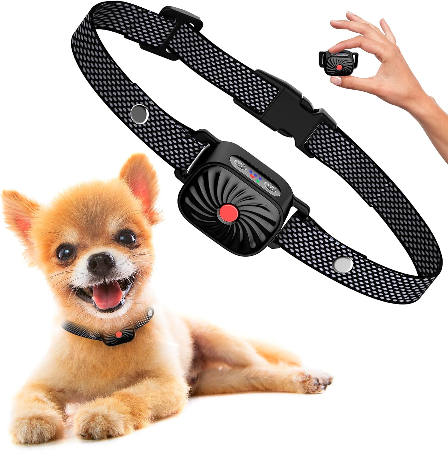 PawGuard CalmPaw Small Dog Bark Deterrent Collar Official | Temsk
