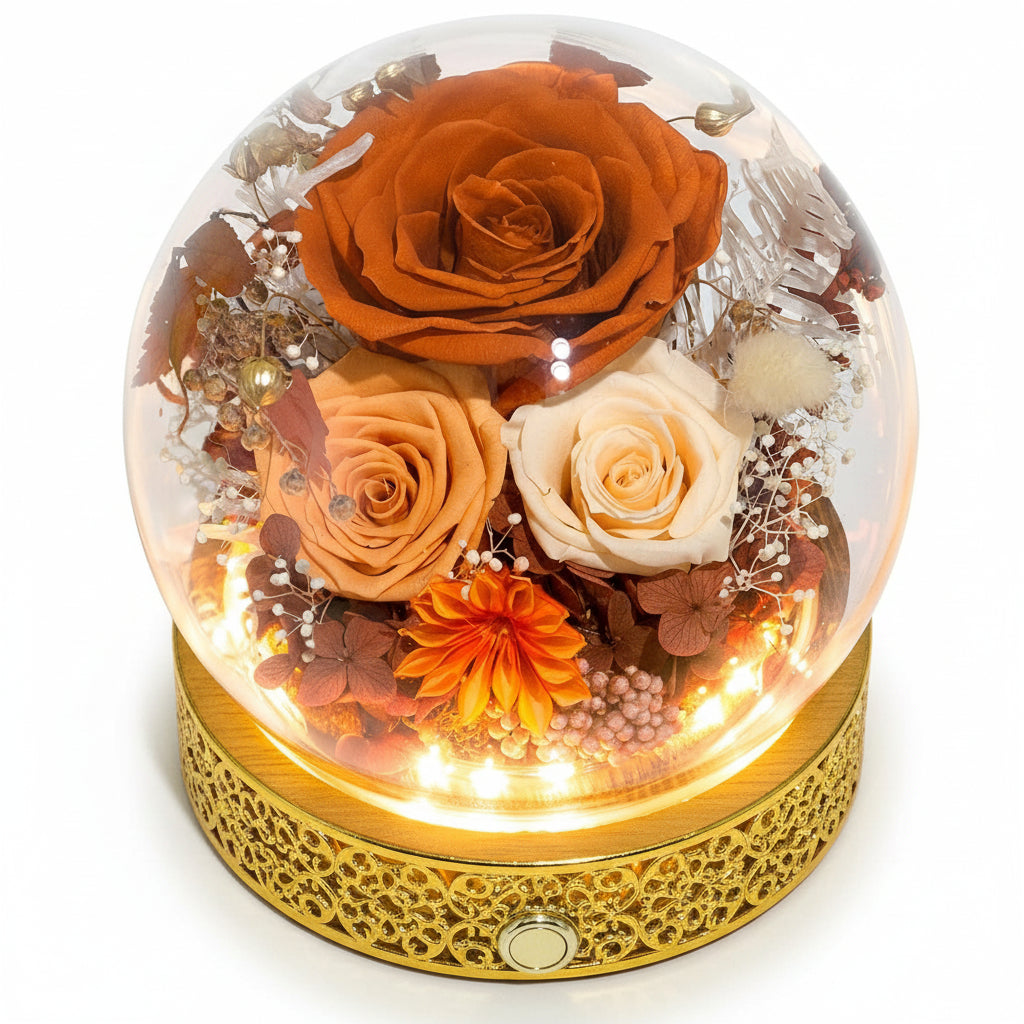 Preserved Rose Dome With LED Lights Gift For Mother's Day Decor | Temsk