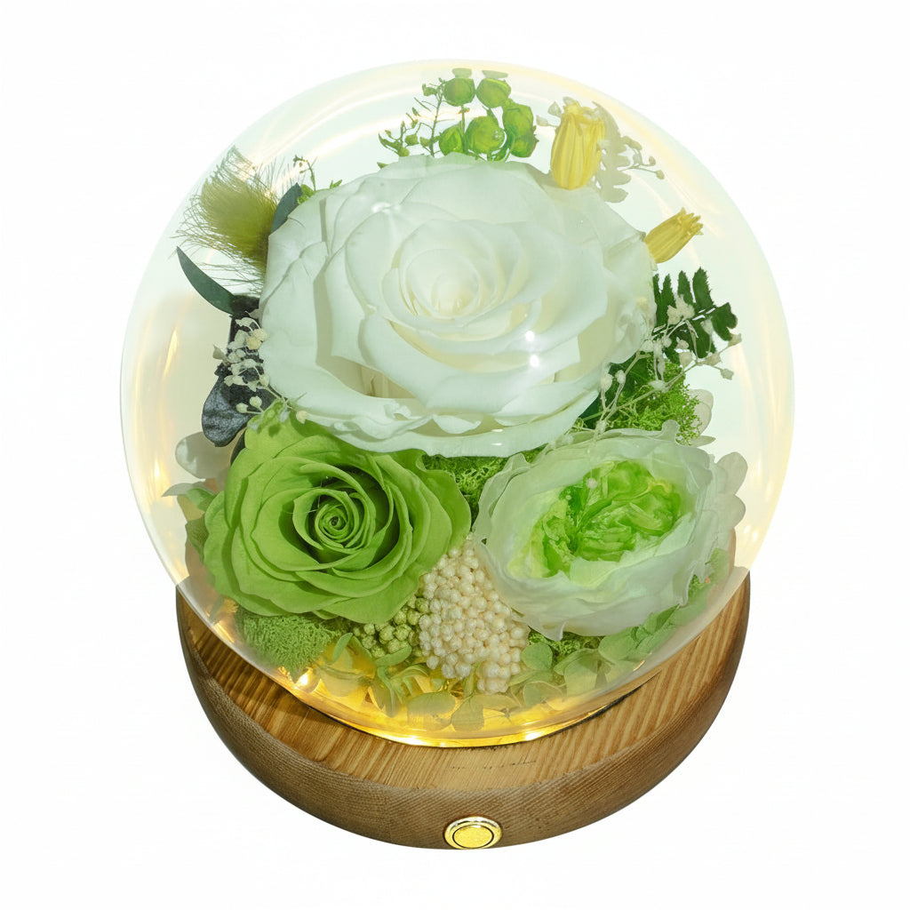 Preserved Rose Dome With LED Lights Gift For Mother's Day Decor | Temsk