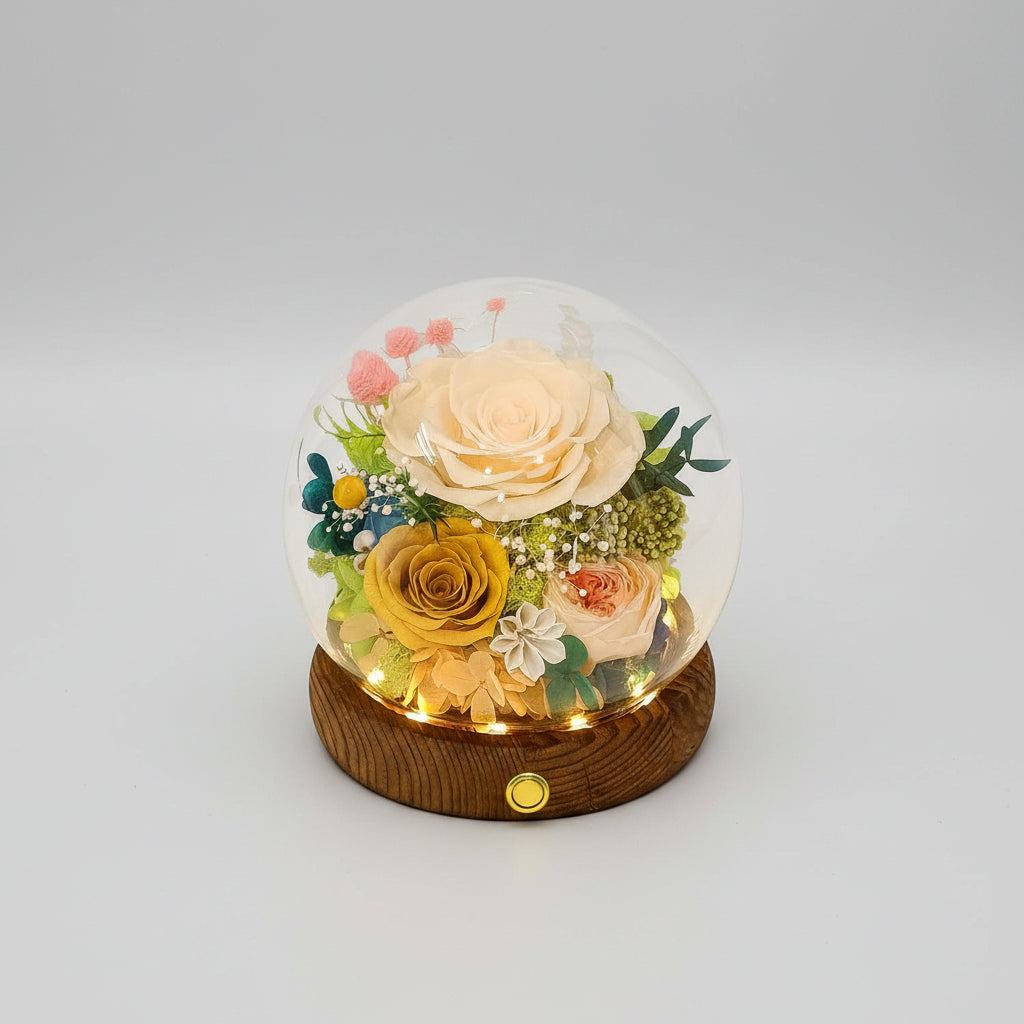 Preserved Rose Dome With LED Lights Gift For Mother's Day Decor | Temsk