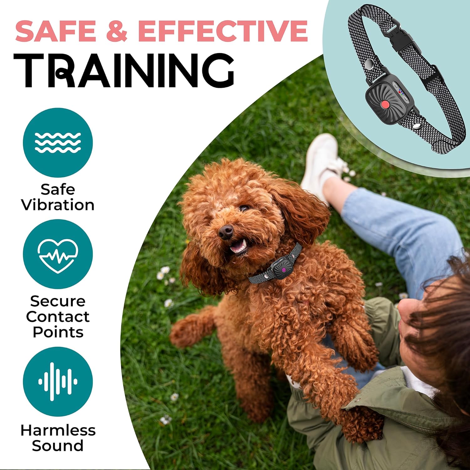 PawGuard CalmPaw Small Dog Bark Deterrent Collar Official | Temsk