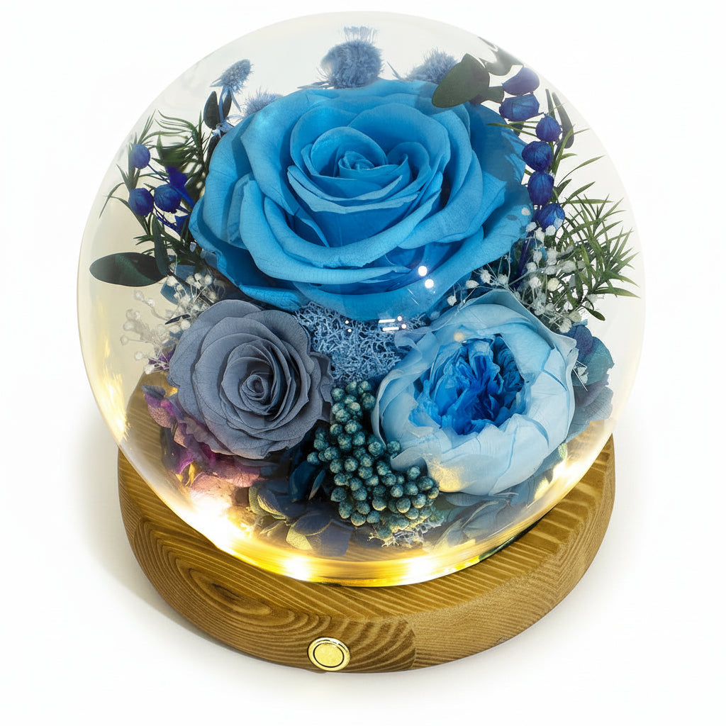 Preserved Rose Dome With LED Lights Gift For Mother's Day Decor | Temsk