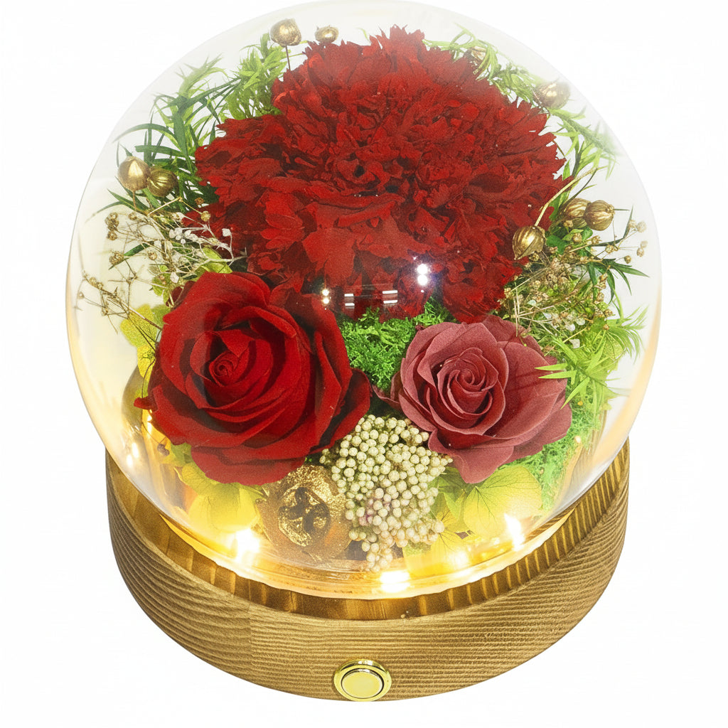 Preserved Rose Dome With LED Lights Gift For Mother's Day Decor | Temsk