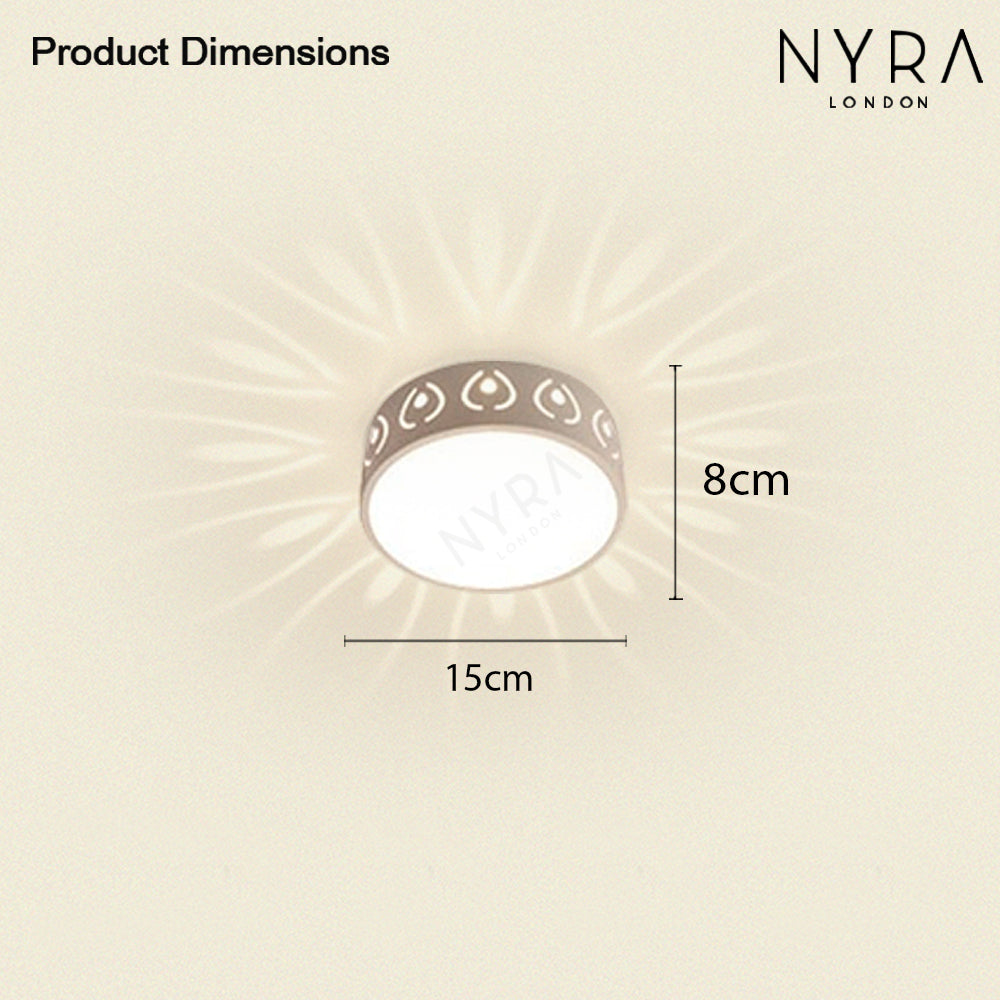 LumaNova Round LED Ceiling Light With Dimmable Ambience | Temsk