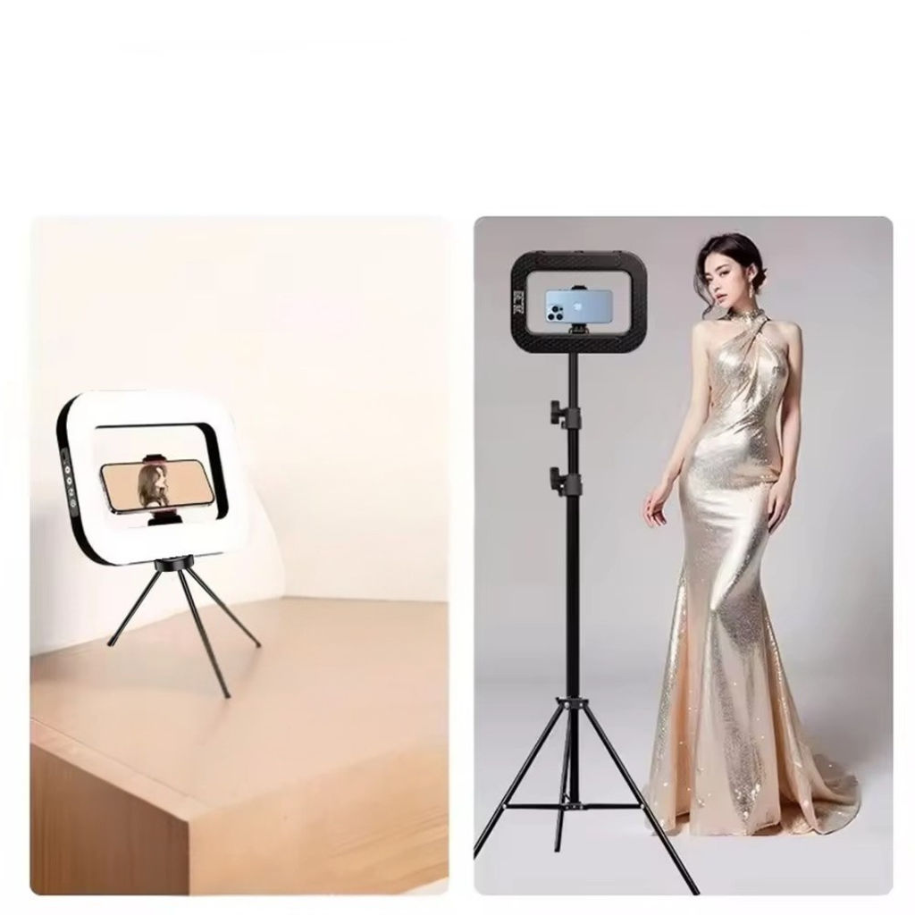 Roreta Portable Handheld Ring LED Light for Photography | Temsk