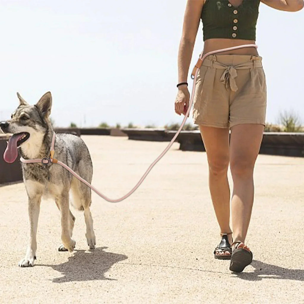 Hands-Free Adjustable Dog Leash For Running And Walking | Temsk