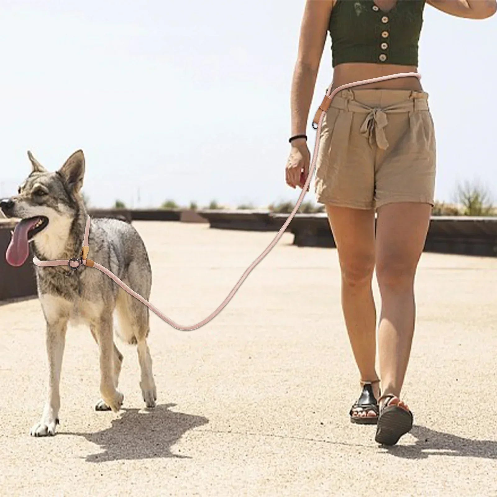 Hands-Free Adjustable Dog Leash For Running And Walking | Temsk