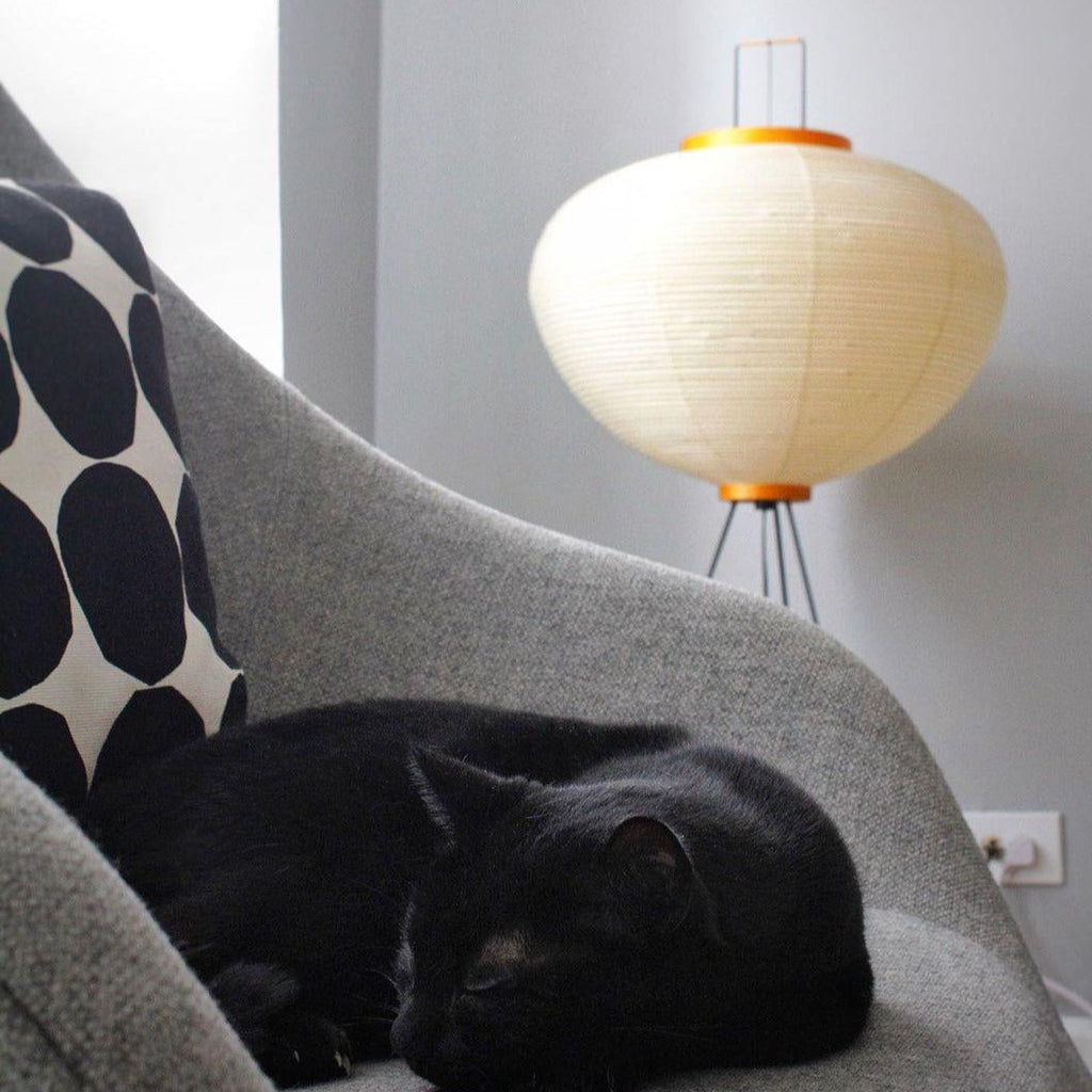 AstraLume Floor Lamp With Rice Paper Shade And Minimalist Warmth | Temsk