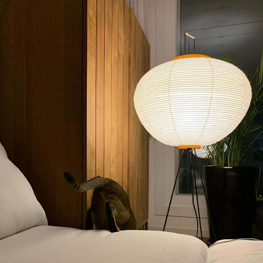 AstraLume Floor Lamp With Rice Paper Shade And Minimalist Warmth | Temsk