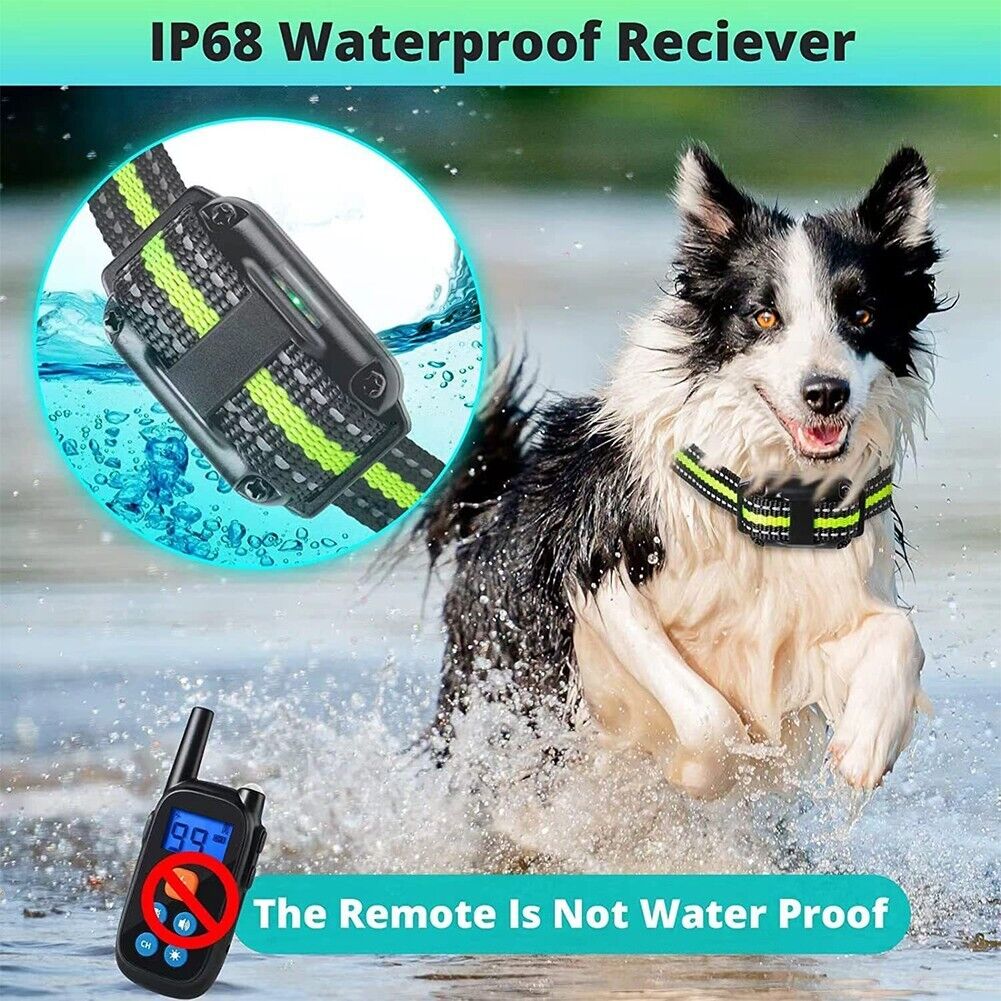 Remote Obedience E Collar For Bark Control And Training | Temsk