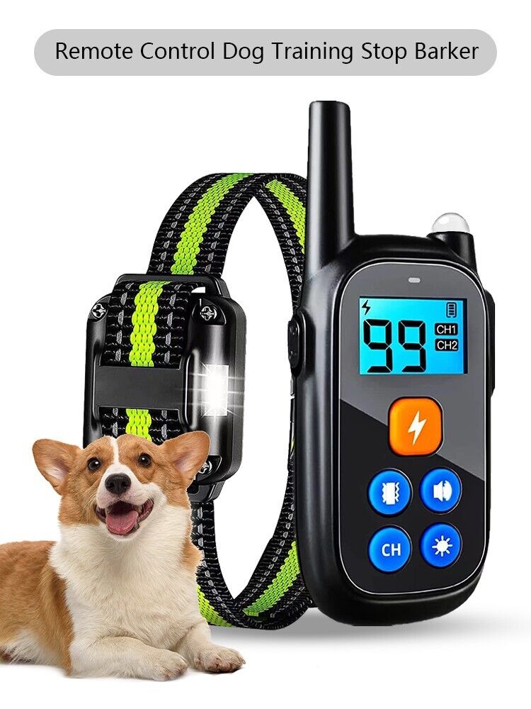Remote Obedience E Collar For Bark Control And Training | Temsk