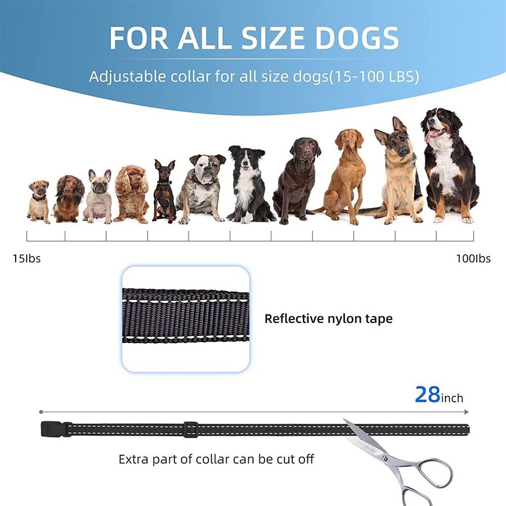 Remote Obedience E Collar For Bark Control And Training | Temsk