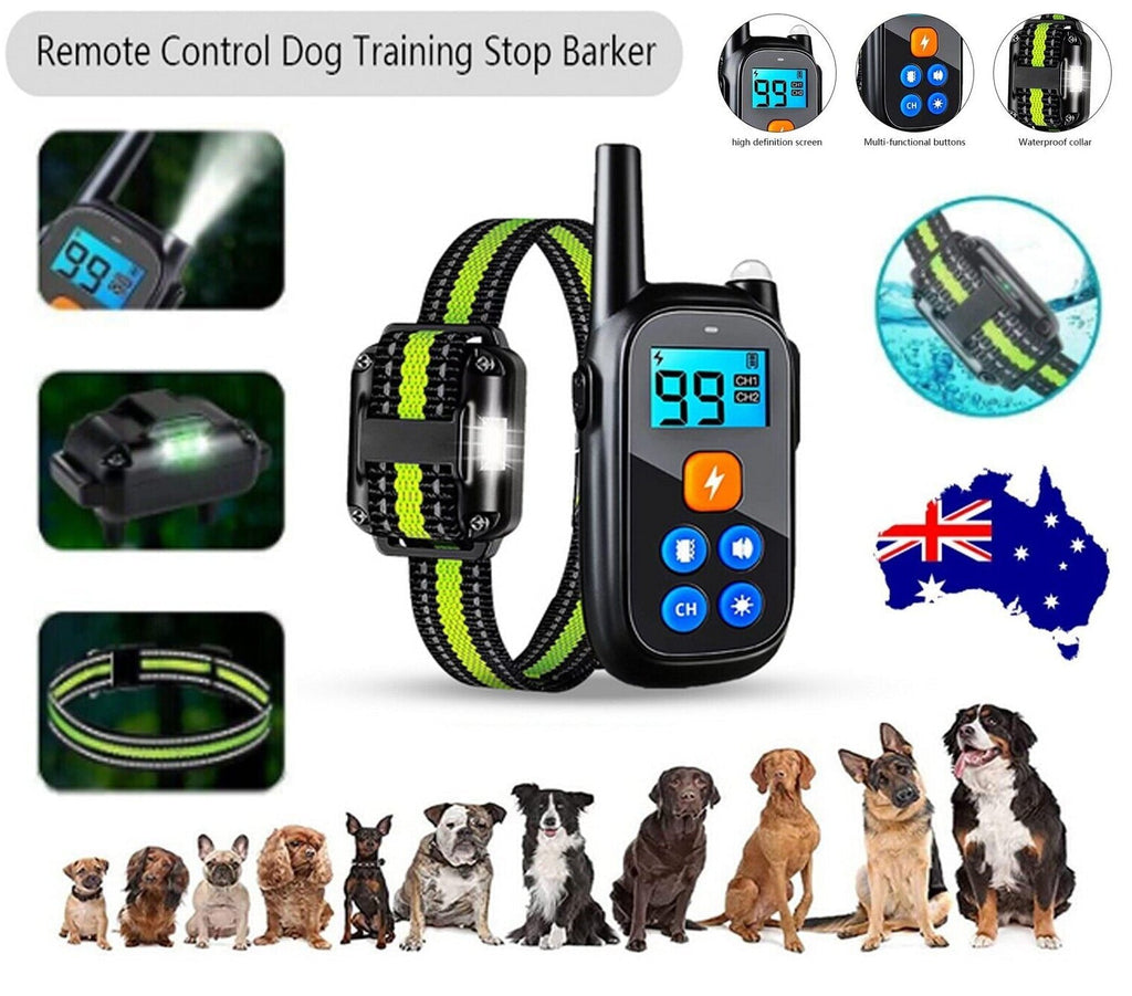 Remote Obedience E Collar For Bark Control And Training | Temsk