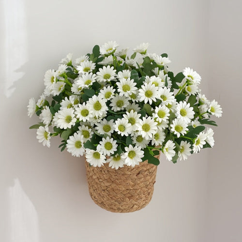 Daisy Tabletop Decor Bouquet for Mother's Day Gift by Temsk
