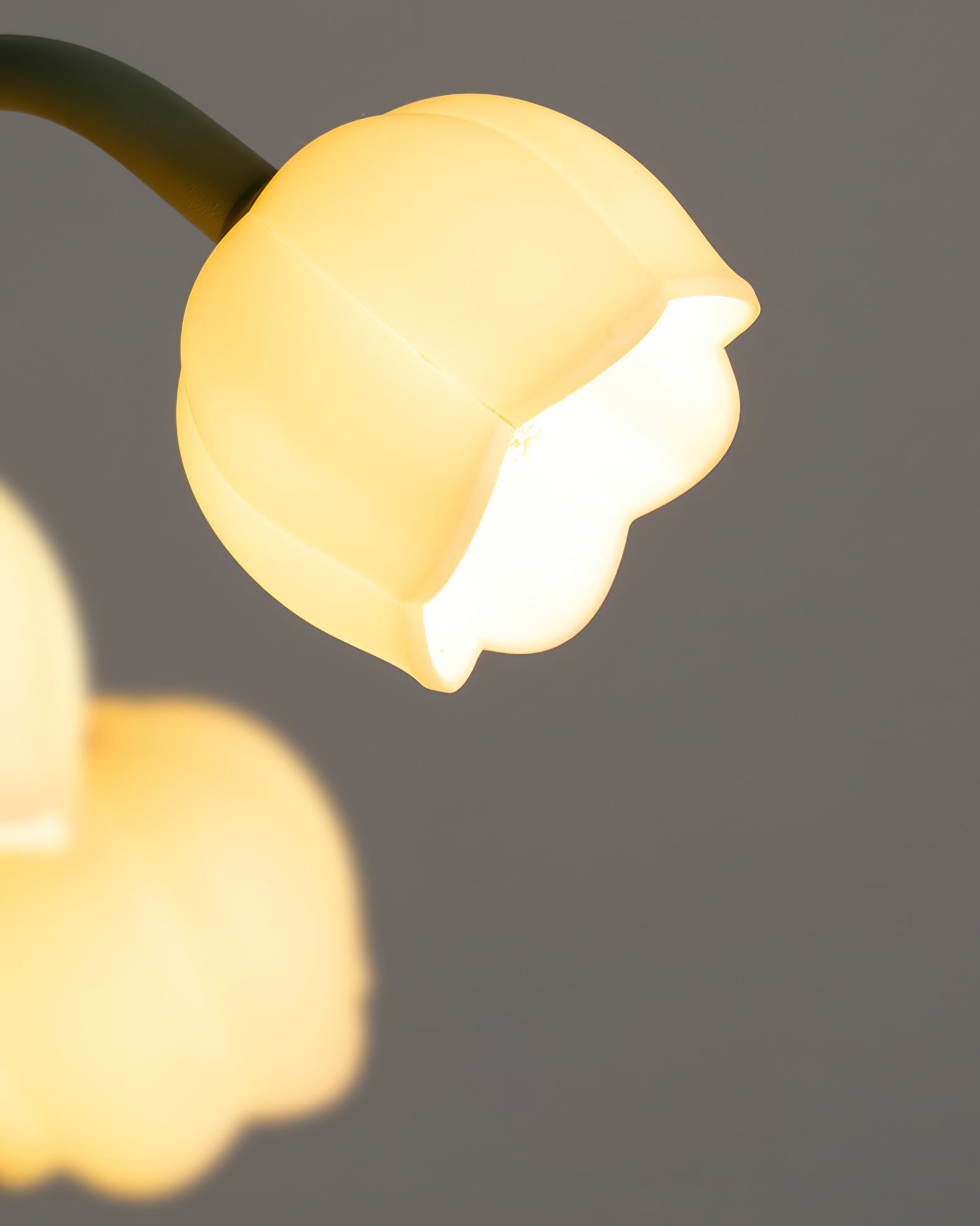Glockenorchideen-Tischlampe, zarte florale Innenbeleuchtung | Temsk