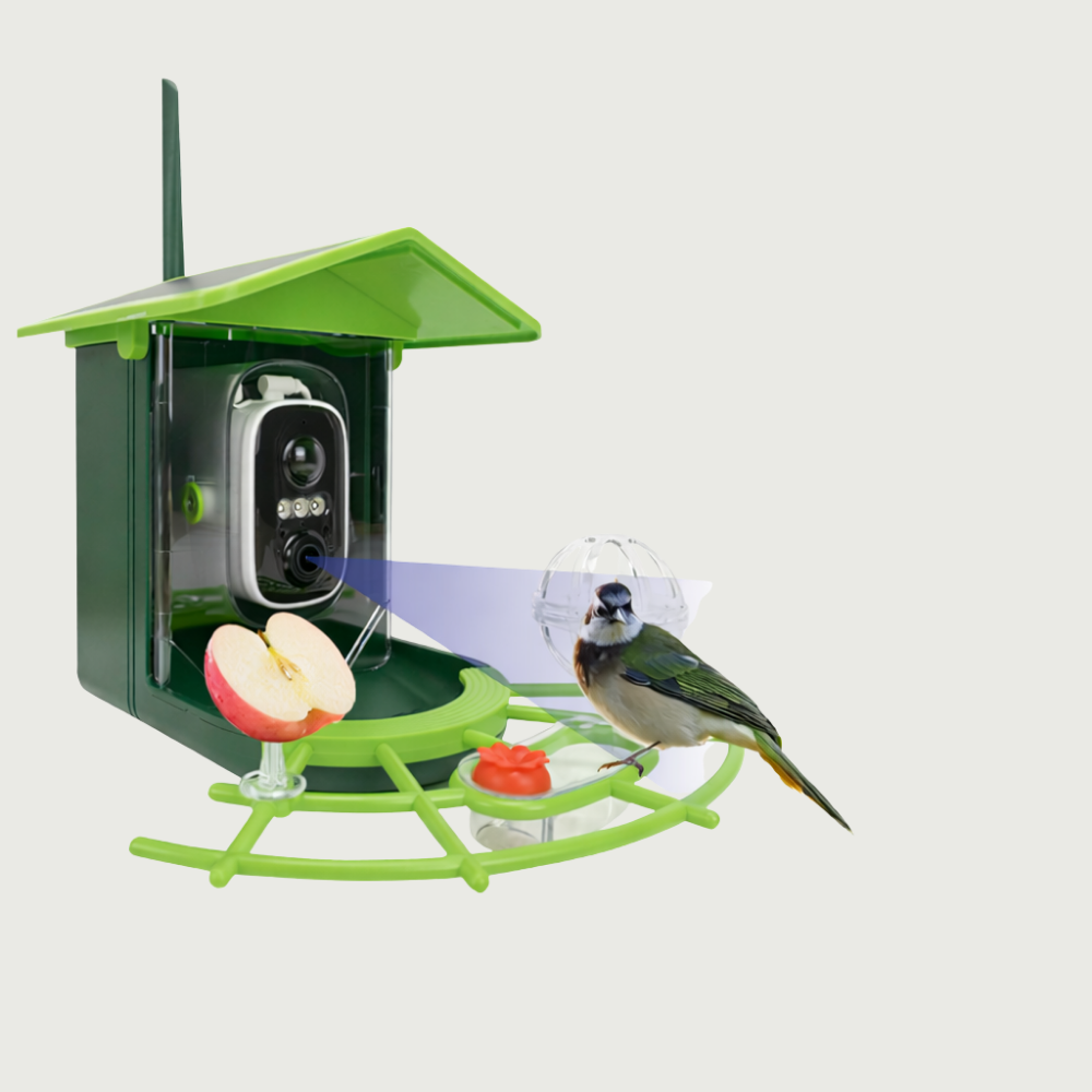 Outdoor Camera For Bird Feeder With Smart HD App Control | Temsk